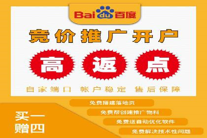 成功案例分享：SEM竞价代运营策略解析